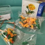 لگو گل وارداتی Flowers کد QL2360 - Image 6