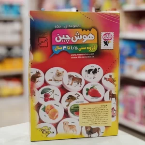 بازی فکری هوش چین یک تکه زاغک
