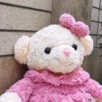 عروسک پولیشی خرس تدی رز وارداتی سایز1 - Image 6