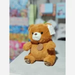 عروسک خرس مارک دار پولیشی وارداتی - Image 7