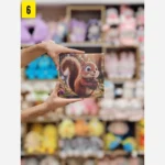 نقاشی الماسی بوم 20 در 20بزرگسال فانتزی وارداتی - Image 8