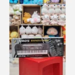 ارگ حرفه ای موزیکال 54 دکمه وارداتی