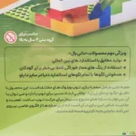 بلوک های ساختنی دانی بال Daniballدارای 48 قطعه - تصویر 3