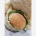 جوجه همبرگری کیف به دوش عروسک پولیشی - تصویر 3