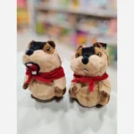 سگ آبی پولیشی وارداتی شنل دار - تصویر 3